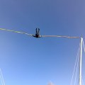 Big Air